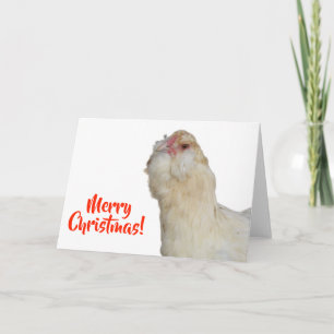 Carte Douce Poule Ameraucana Blé Rare Joyeux Noël