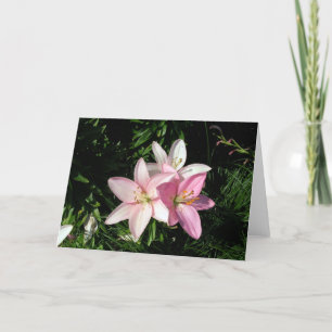 Carte Douces Lys
