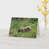 Carte d'ours (Fleur jaune)