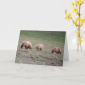 Carte d'ours maman Fête (Fleur jaune)