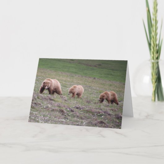 Carte d'ours maman Fête (Devant)