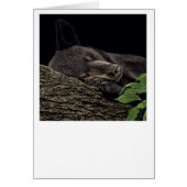 Carte d'ours "Nap Time" (Devant)