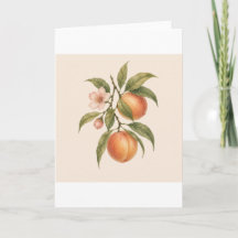 Doux comme une pêche | Conception botanique vintag