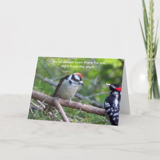 Carte Downy Woodpecker pour un parent ou un tuteur (Devant)