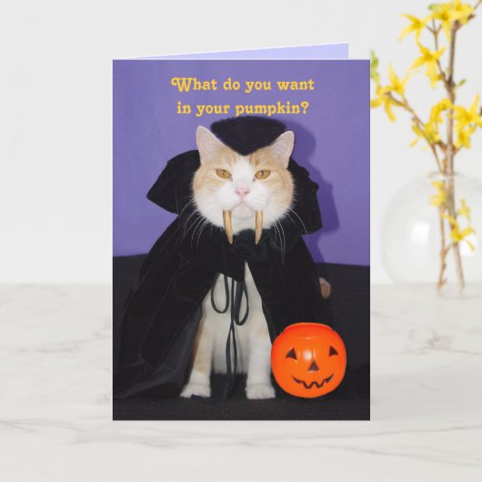 Carte Dracula Kitty (Fleur jaune)