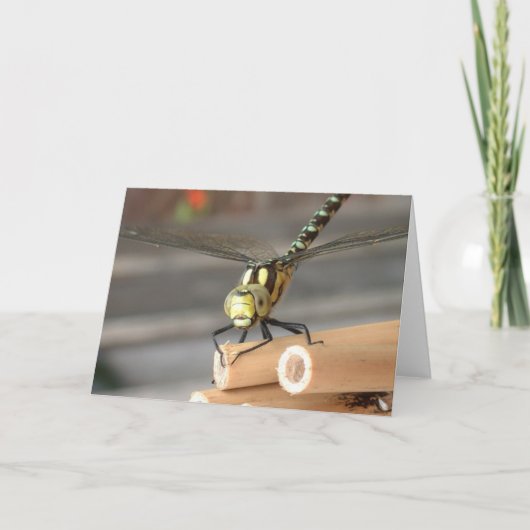 Carte Dragon (Devant)
