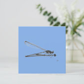 Carte Dragon Fly (Debout devant)