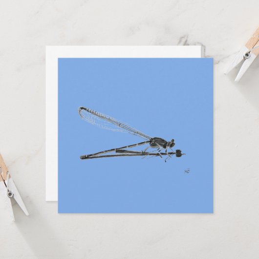 Carte Dragon Fly (Devant/Arrière en situation)