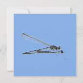 Carte Dragon Fly (Devant)