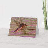 Carte Dragonfly (Devant)