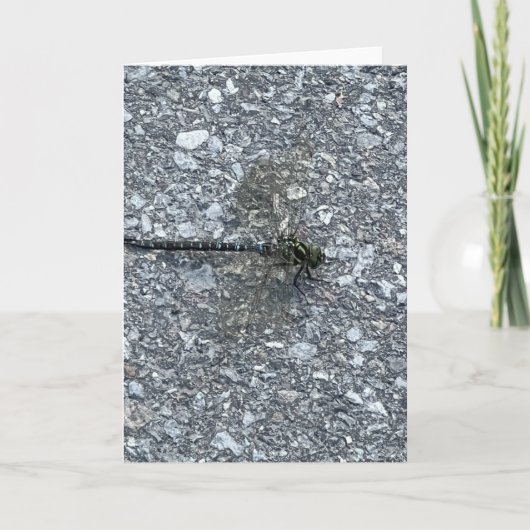 Carte Dragonfly (Devant)