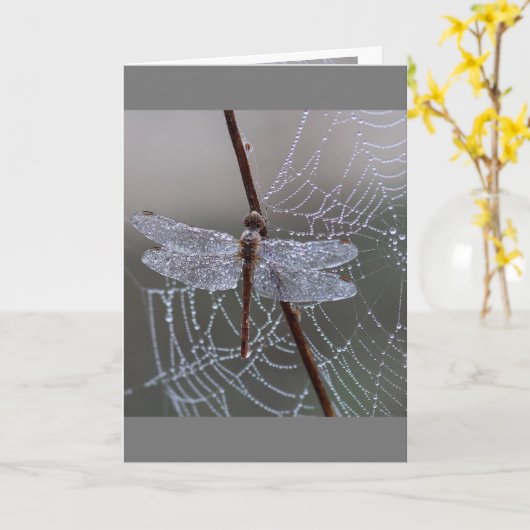 Carte Dragonfly Dragonflies Signification (Fleur jaune)