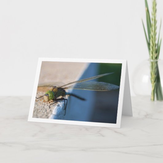 Carte Dragonfly on Ledge (Devant)