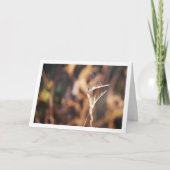 Carte Dragonfly sur Stem Portrait (Devant)