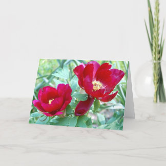 Carte Dragons, tigres et pivoines VII