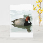 Carte Drake roux (sans titre) (Fleur jaune)