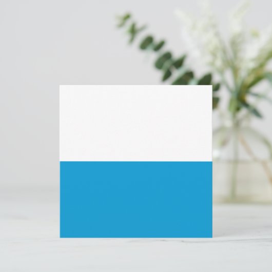 Carte Drapeau bavarois (Debout devant)