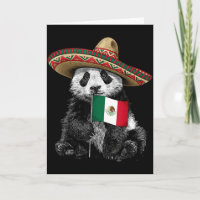 drapeau du Mexique fierté mexicaine racines mexica