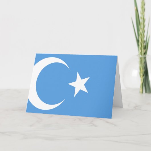 Carte Drapeau du Turkestan oriental Ouyghur (Devant)