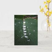 Carte Dream Big (Fleur jaune)