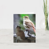 Carte Dream Big Ragdoll Chat Bird Note (Devant)