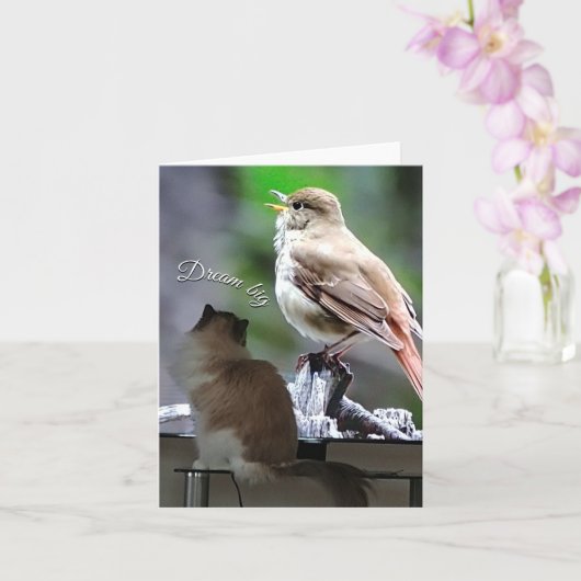 Carte Dream Big Ragdoll Chat Bird Note (Orchidée)