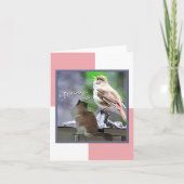 Carte Dream Big Ragdoll Chat Bird Note (Devant)