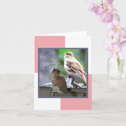 Carte Dream Big Ragdoll Chat Bird Note (Orchidée)