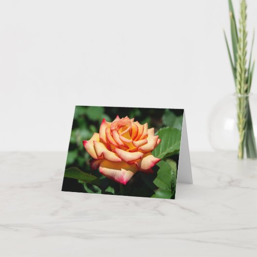 Carte Dream Come True Rose (Devant)