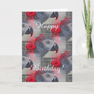 Carte Dreamy African Grey with Red Roses
