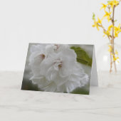 Carte Dreamy Cherry Blossoms AH2010 (Fleur jaune)