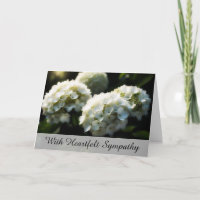 *~* Dreamy Hydrangia TV2 Sympathy Love Light