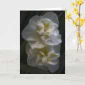 Carte Dreamy Narcissus Daffodils (Fleur jaune)