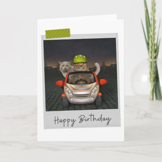Carte Driving Cats Funny Birthday Card (Devant)