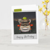 Carte Driving Cats Funny Birthday Card (Fleur jaune)