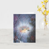 Carte Droit d'attraction (Fleur jaune)