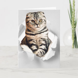 Carte Drôle 3d chat graphique déchirée illusion papier