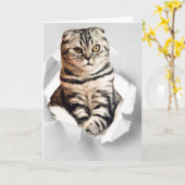 Carte Drôle 3d chat graphique déchirée illusion papier (Fleur jaune)