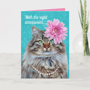 Carte Drôle Accessoré Chat-Personne Ne Remarquera Les Wh