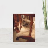 Carte Drôle avec l'attitude chiffon chat poupée (Devant)