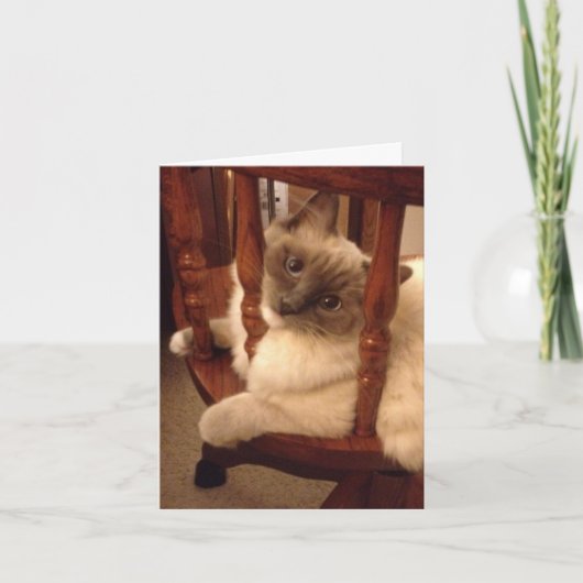 Carte Drôle avec l'attitude chiffon chat poupée (Devant)