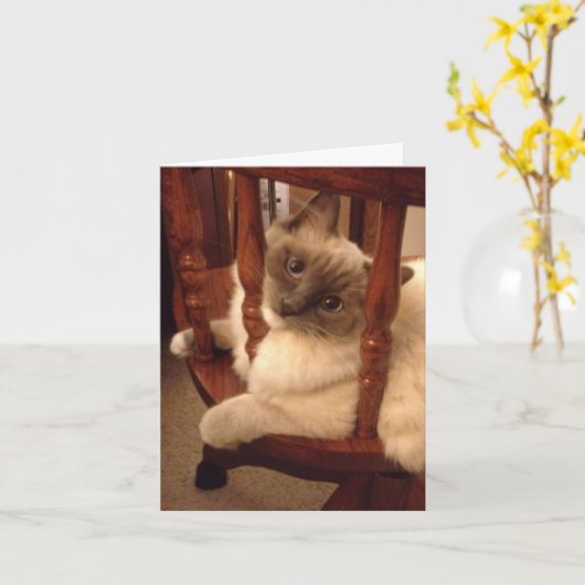 Carte Drôle avec l'attitude chiffon chat poupée (Fleur jaune)