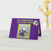 Carte Drôle Basset Hound Zombie Halloween Card (Fleur jaune)