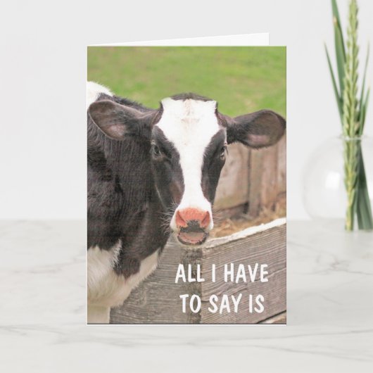 Carte Drôle Bossy Cow Se Bien (Devant)