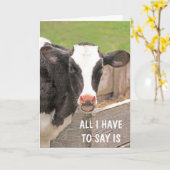 Carte Drôle Bossy Cow Se Bien (Fleur jaune)