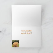 Carte Drôle Cancer Mouton Encouragement (Intérieur)