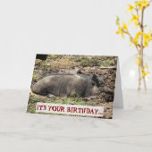 Carte Drôle C'est ton anniversaire Go Hog Wild (Fleur jaune)