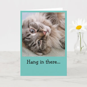 Carte Drôle Chat- Hang là-dedans