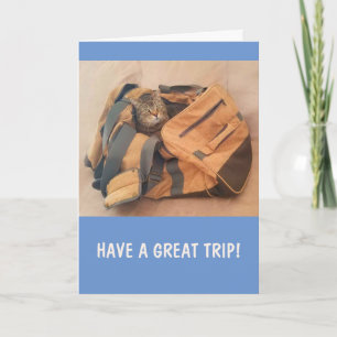 Carte Drôle Chat Miss You