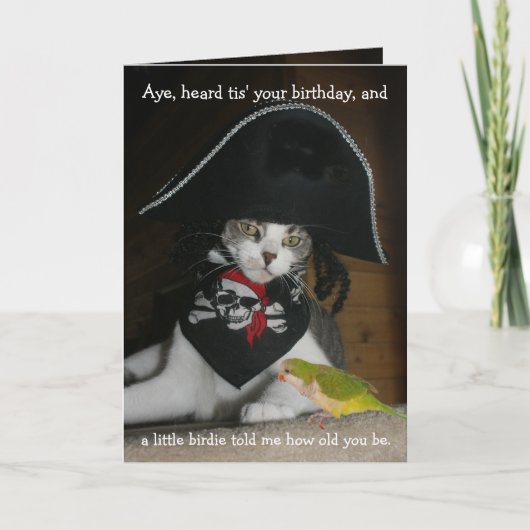 Carte Drôle chat pirate (Devant)